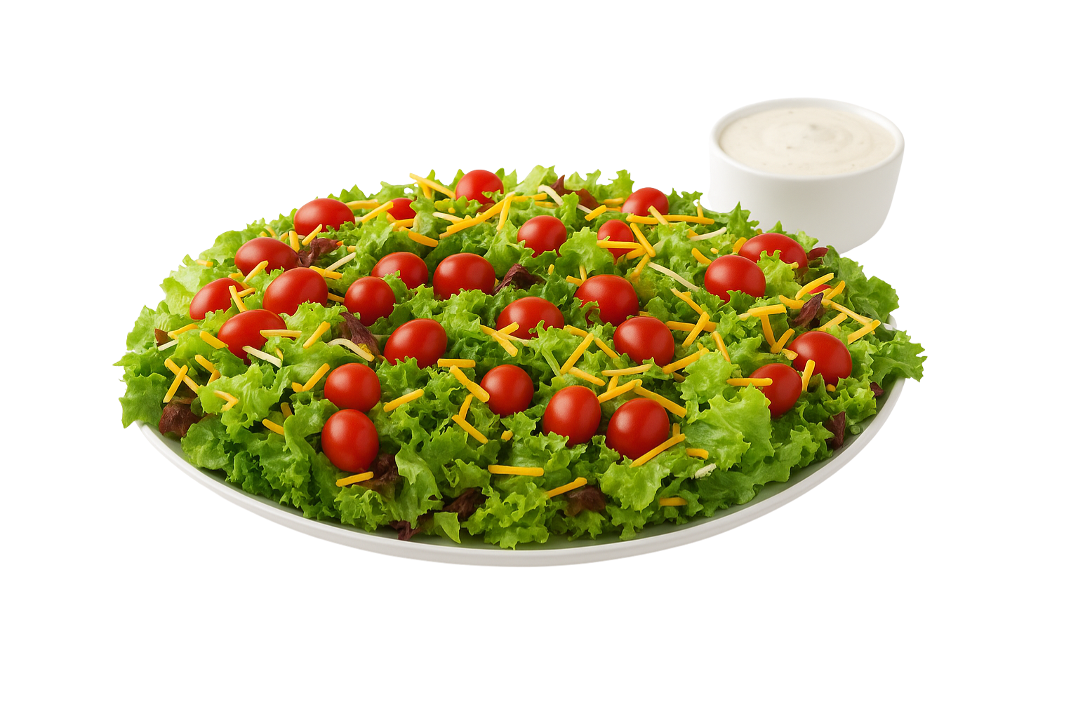 Garden Salad